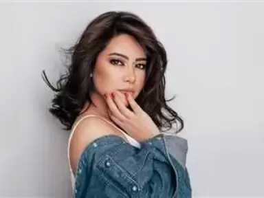 الفن ونجومه