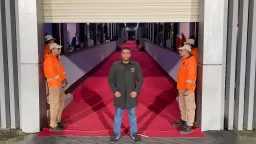 الفن ونجومه