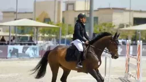 بالفيديو.. وادى الفروسية التابع لوزارة الداخلية يستضيف البطولة الثانية للفروسية لقفز الموانع