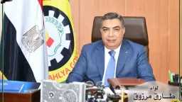 تحقيقات وتقارير