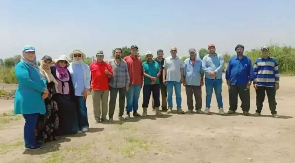 الأخبار
