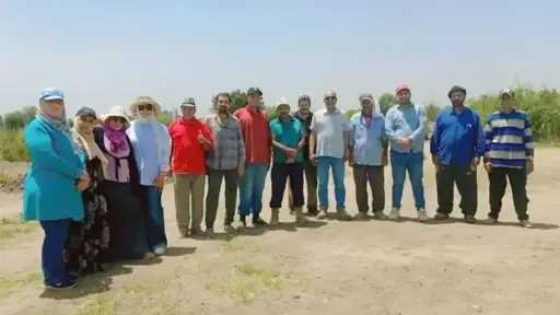 الأخبار