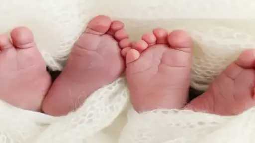 الأخبار