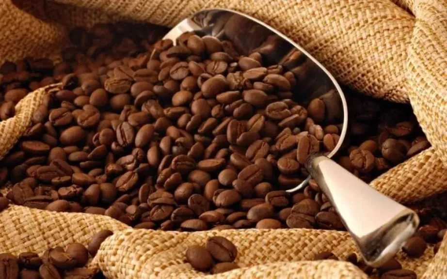 اقتصاد