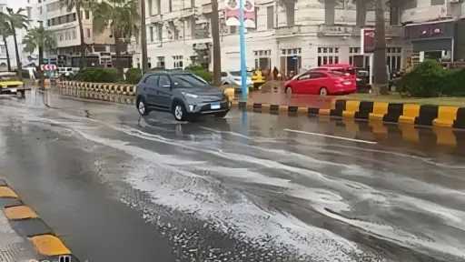 الأخبار